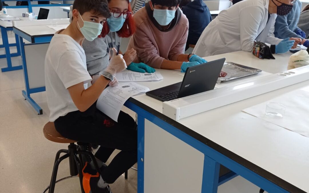 Prácticas de Biología. 3º ESO