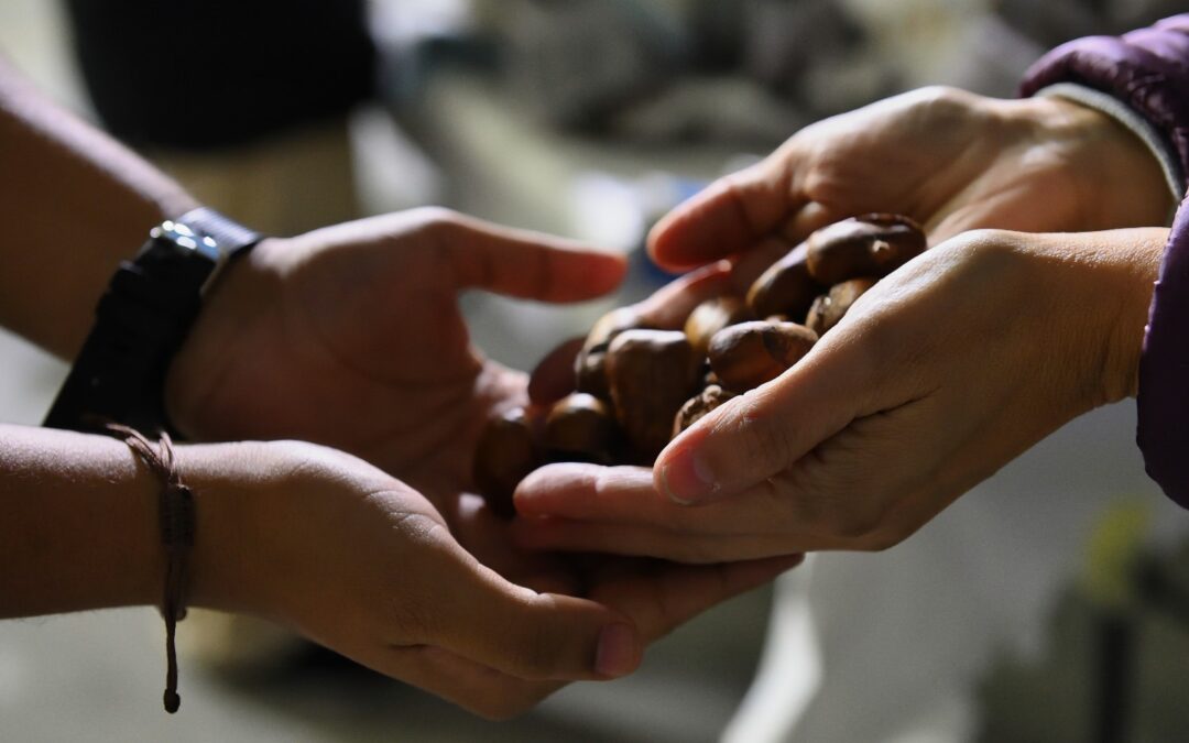 Fiesta de las castañas