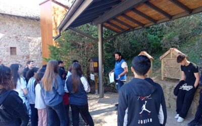¡Bienvenidos, exploradores del agua!