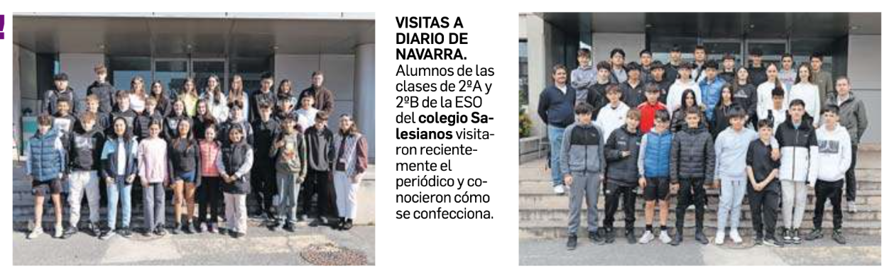 visita diario de Navarra