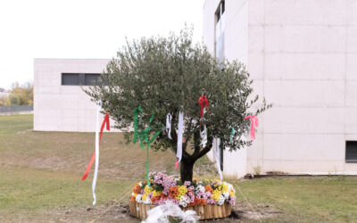 Recuerdo y celebración por nuestros seres queridos fallecidos