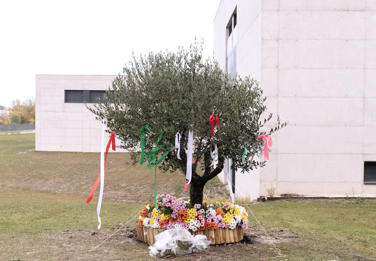 Beca Erasmus+ Valdocco 2024